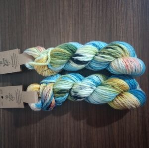 2 Yarn Bee hand-dyed Merino Wool in Majestic Meadow